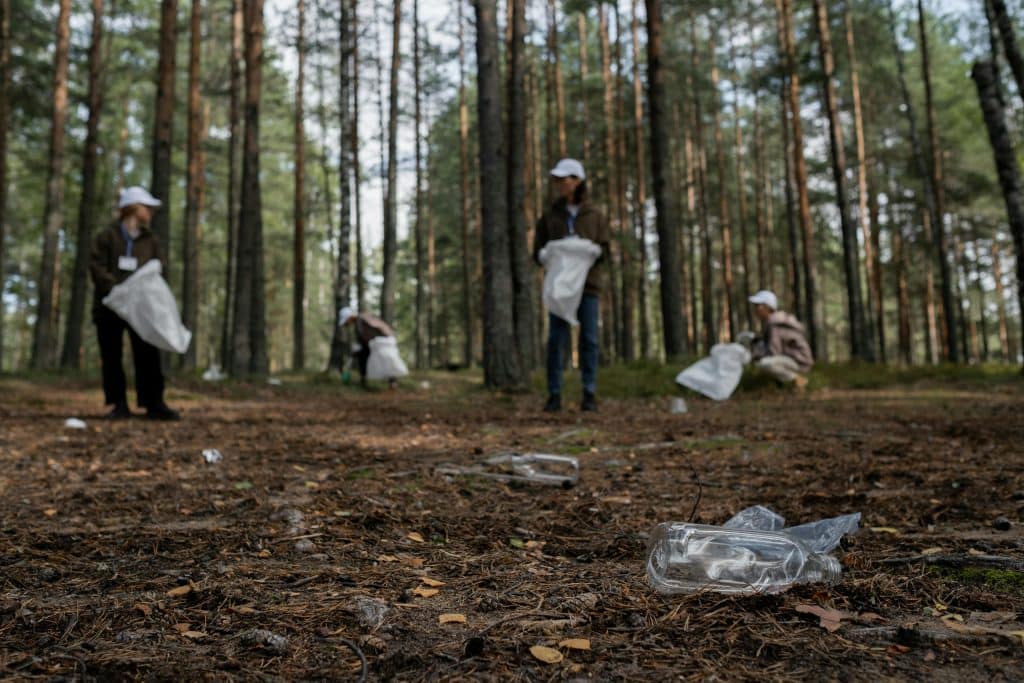 group of people picking up trash in the woods