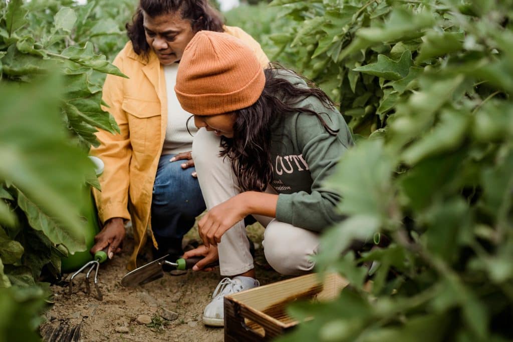 woman and girl planting something